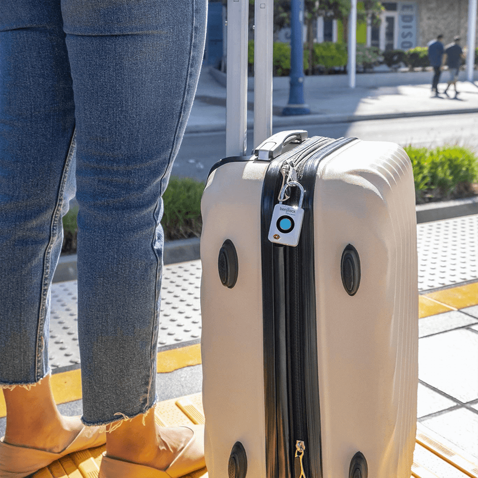 BenjiLock by Hampton TSA Travel Fingerprint Padlock