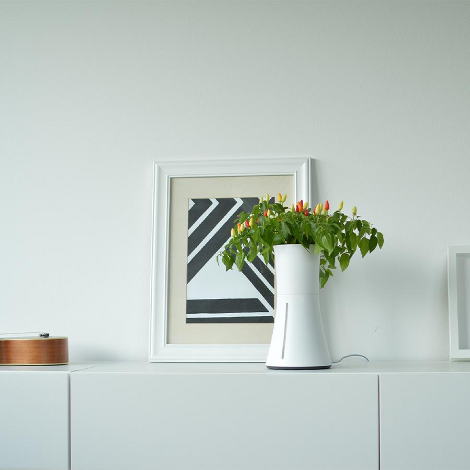 Botanium: The Self Watering Planter