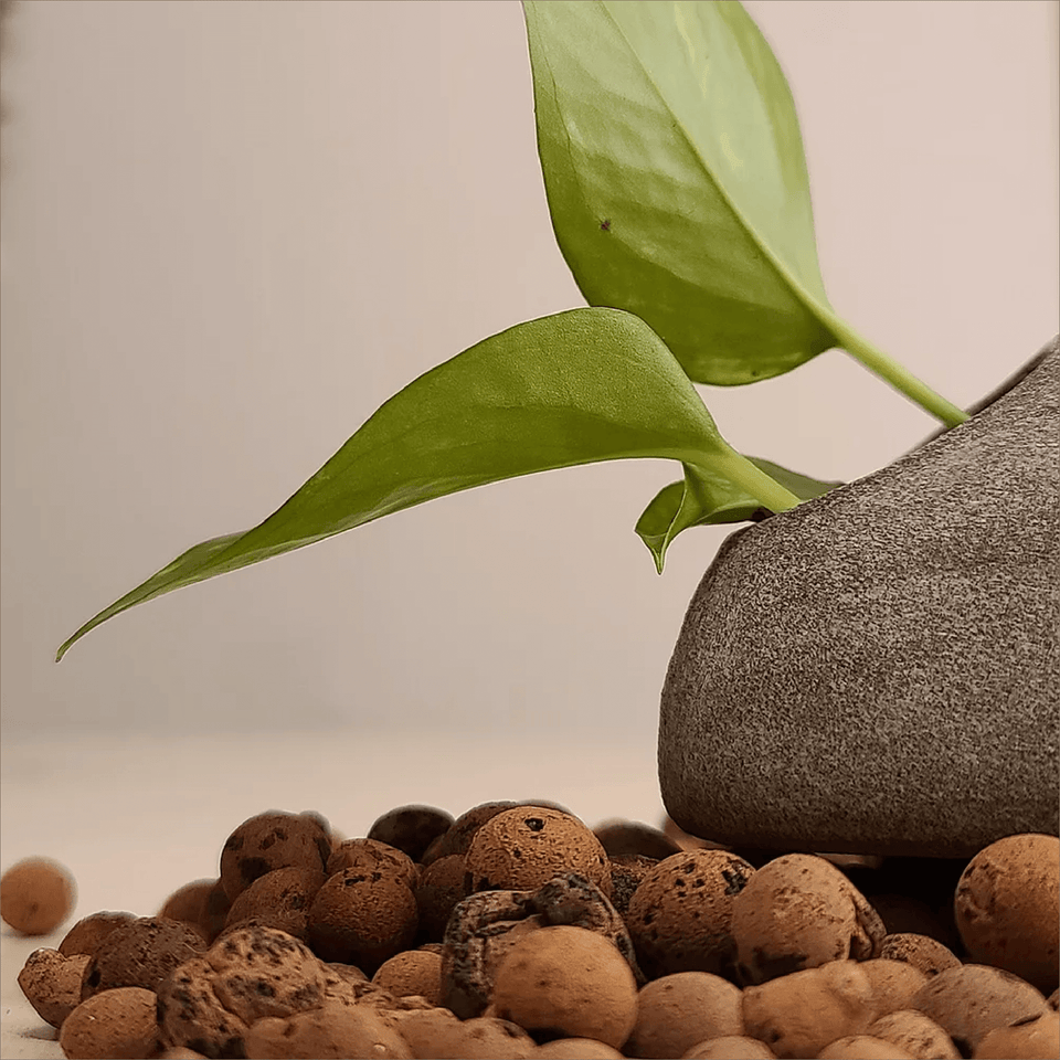 Cecilia Mejia Design “Nido Mini” Ceramic Wall Planter