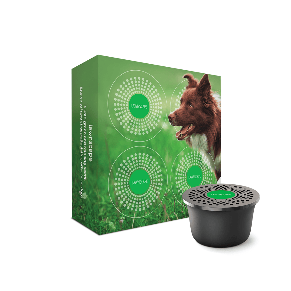 Moodo Smart Home Aroma Capsules - Family Pack of 4