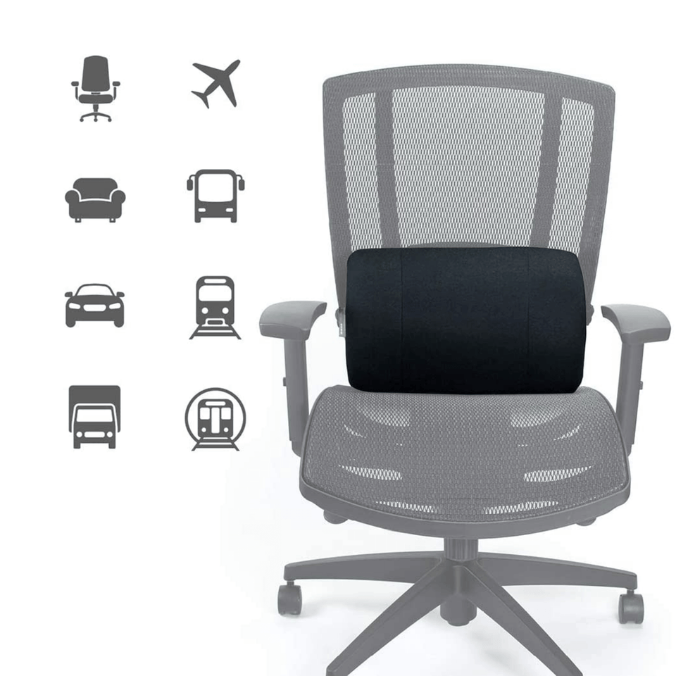 ObusForme Lumbar Support Cushion