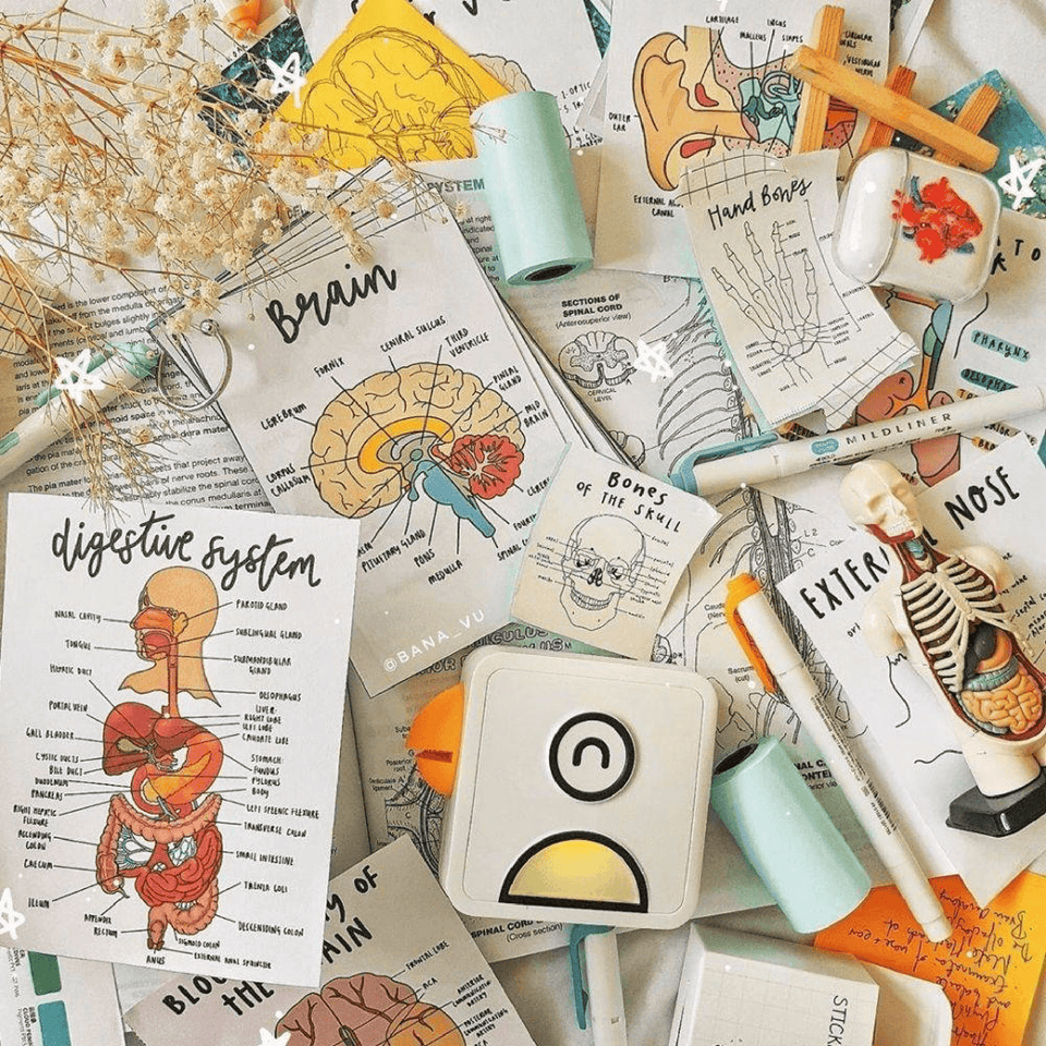 Pooolipaper White Paper Rolls - 3 Rolls